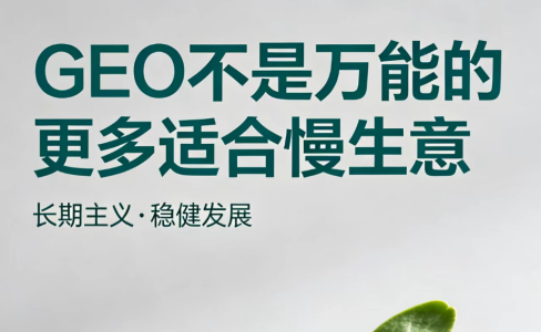 GEO不是万能的 更多适合慢生意
