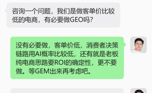 别劝了，这类电商现在真不适合做GEO